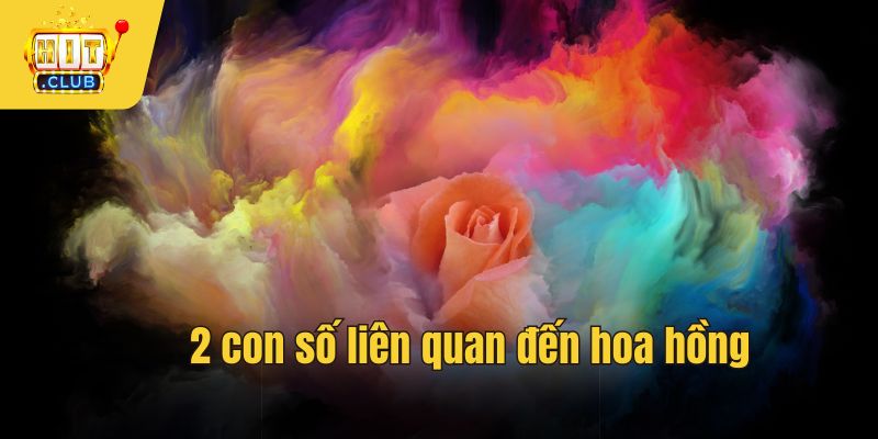 2 con số liên quan đến hoa hồng